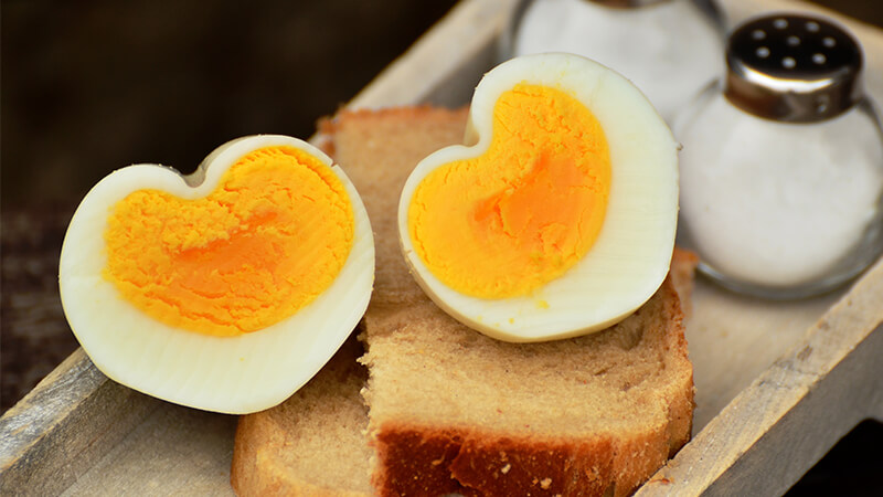 Makanan Sehat dan Bergizi - Telur